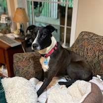 Thumbnail photo of Lila Dixon #2