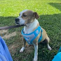 Thumbnail photo of Bubbles #3