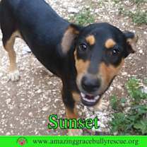 Thumbnail photo of Sunset #2