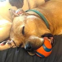 Thumbnail photo of Sunny #2