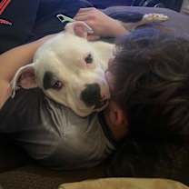 Thumbnail photo of Scrappy #4