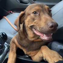 Thumbnail photo of Zeke #1