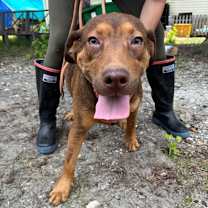 Thumbnail photo of Zeke #2