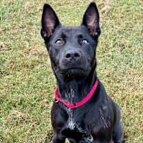 Thumbnail photo of Luna #3