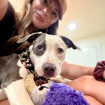 Thumbnail photo of Panda Rue the sweetest little peach #4