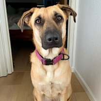 Thumbnail photo of Kelly #1