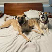 Thumbnail photo of Kelly #3