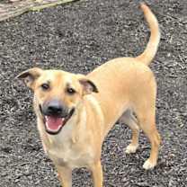 Thumbnail photo of Chase #1