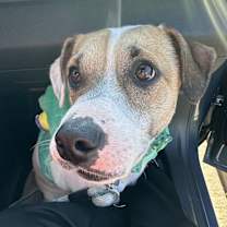 Thumbnail photo of Charles #1