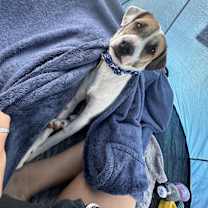 Thumbnail photo of Charles #3