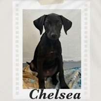 Thumbnail photo of Chelsea #3