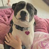 Thumbnail photo of Katie #2