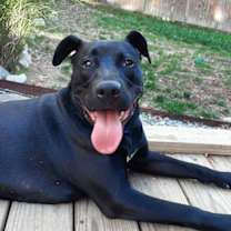 Thumbnail photo of Dan #4