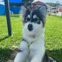 Thumbnail photo of Mabel #2