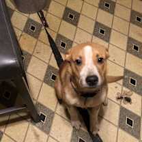 Thumbnail photo of Precious #1