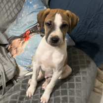 Thumbnail photo of Lucas #1