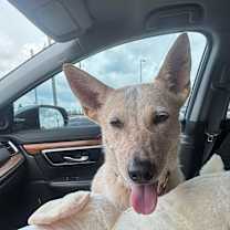 Thumbnail photo of Debbie #1