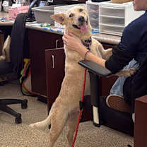 Thumbnail photo of Debbie #2