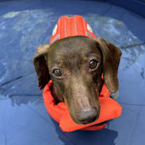 Thumbnail photo of Charlie14 #2