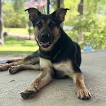 Thumbnail photo of Michael #1