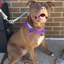 Thumbnail photo of Rory #3