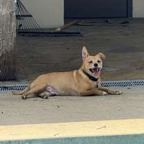 Thumbnail photo of Deano #1