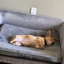 Thumbnail photo of Deano #2