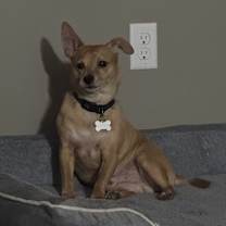 Thumbnail photo of Deano #3