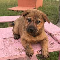 Thumbnail photo of Bear #3