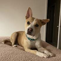 Thumbnail photo of Roscoe #2