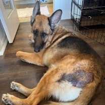 Thumbnail photo of Baylee #4