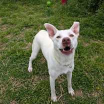 Thumbnail photo of Ice #1