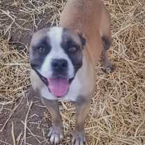 Thumbnail photo of Mitzi #3