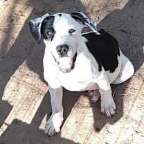 Thumbnail photo of Jackson Dwayne-JD #1