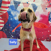 Thumbnail photo of Sally #1