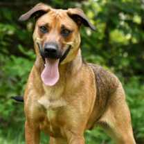 Thumbnail photo of Michael #2