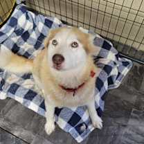 Thumbnail photo of Kimmy #3