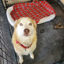 Thumbnail photo of Kimmy #4