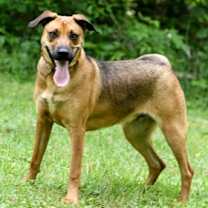 Thumbnail photo of Michael #3