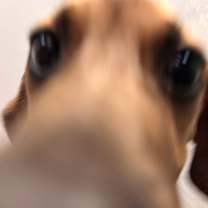 Thumbnail photo of Skittle #3