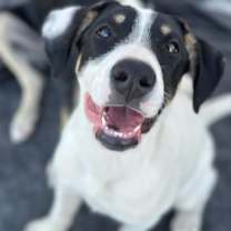 Thumbnail photo of Spot #1