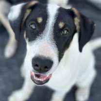 Thumbnail photo of Spot #2