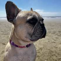 Thumbnail photo of Penelope #1