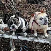 Thumbnail photo of Penelope #3