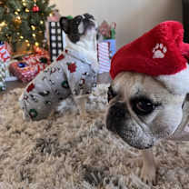 Thumbnail photo of Penelope #4