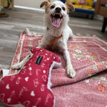 Thumbnail photo of Stark #4