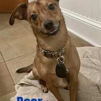 Thumbnail photo of BEAR #2