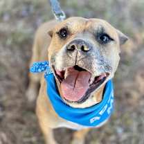 Thumbnail photo of Otto #3