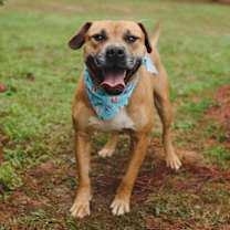 Thumbnail photo of Otto #1