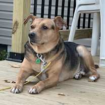 Thumbnail photo of Mickey #2